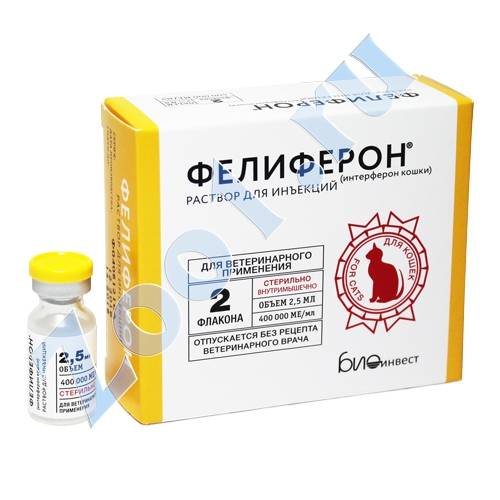Фелиферон для кошки: показания и противопоказания, инструкция по применению