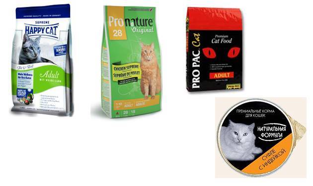Корма для кошек эконом класса: список самых дешевых марок, их состав, отзывы ветеринаров и владельцев животных