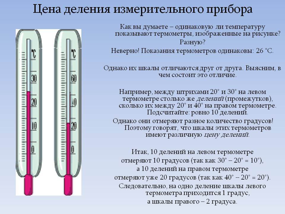 Как узнать, что у кошки высокая температура
