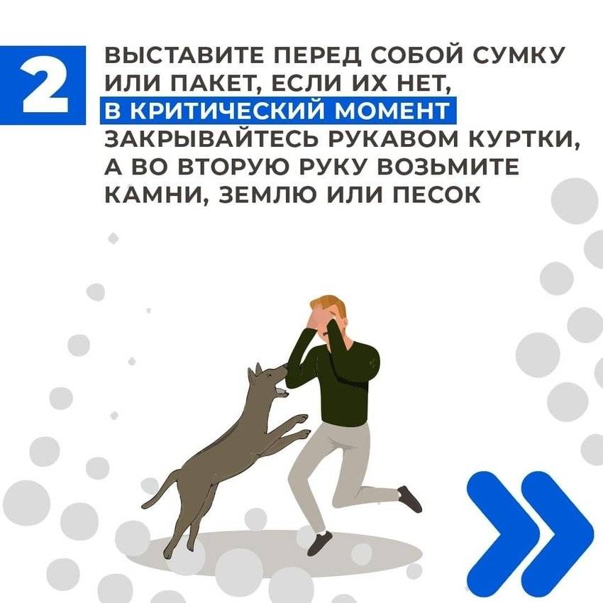Помощь при укусе собаки