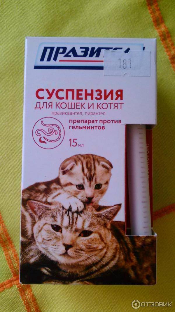«празител» суспензия для кошек и котят инструкция по применению: форма выпуска, как давать, дозировка, аналоги