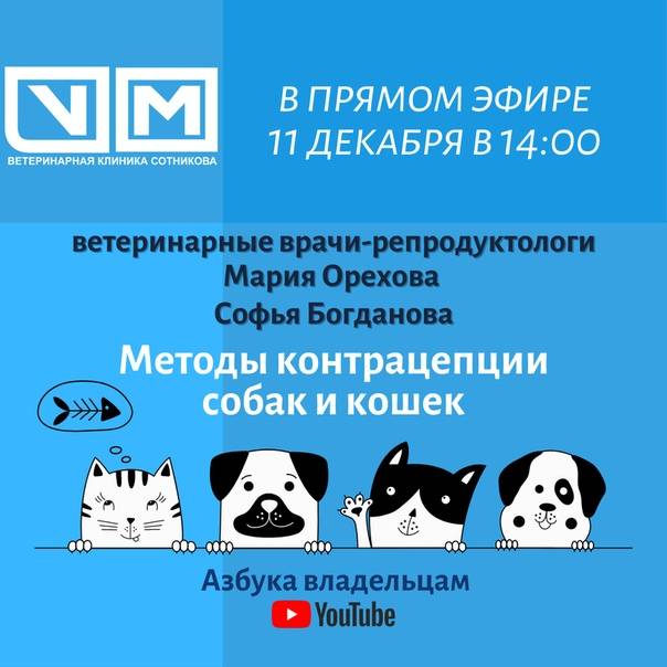 Документы на кошку с родословной: список необходимых бумаг, как оформить документы на котенка, дополнительные справки