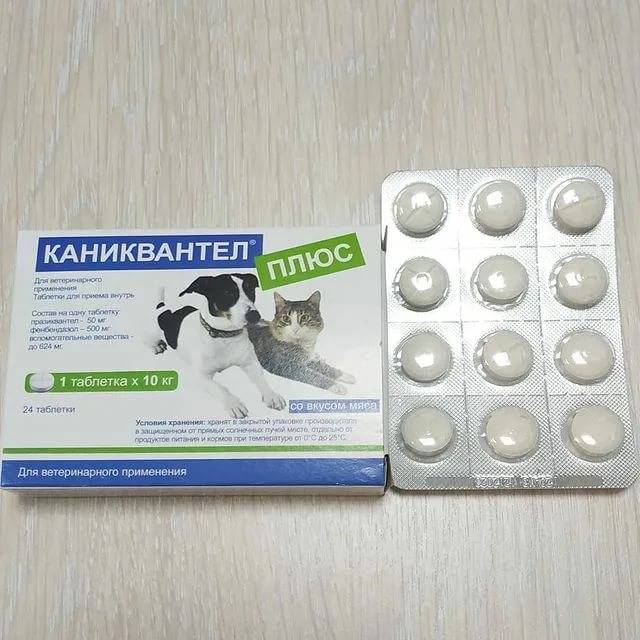 Каниквантел для кошек