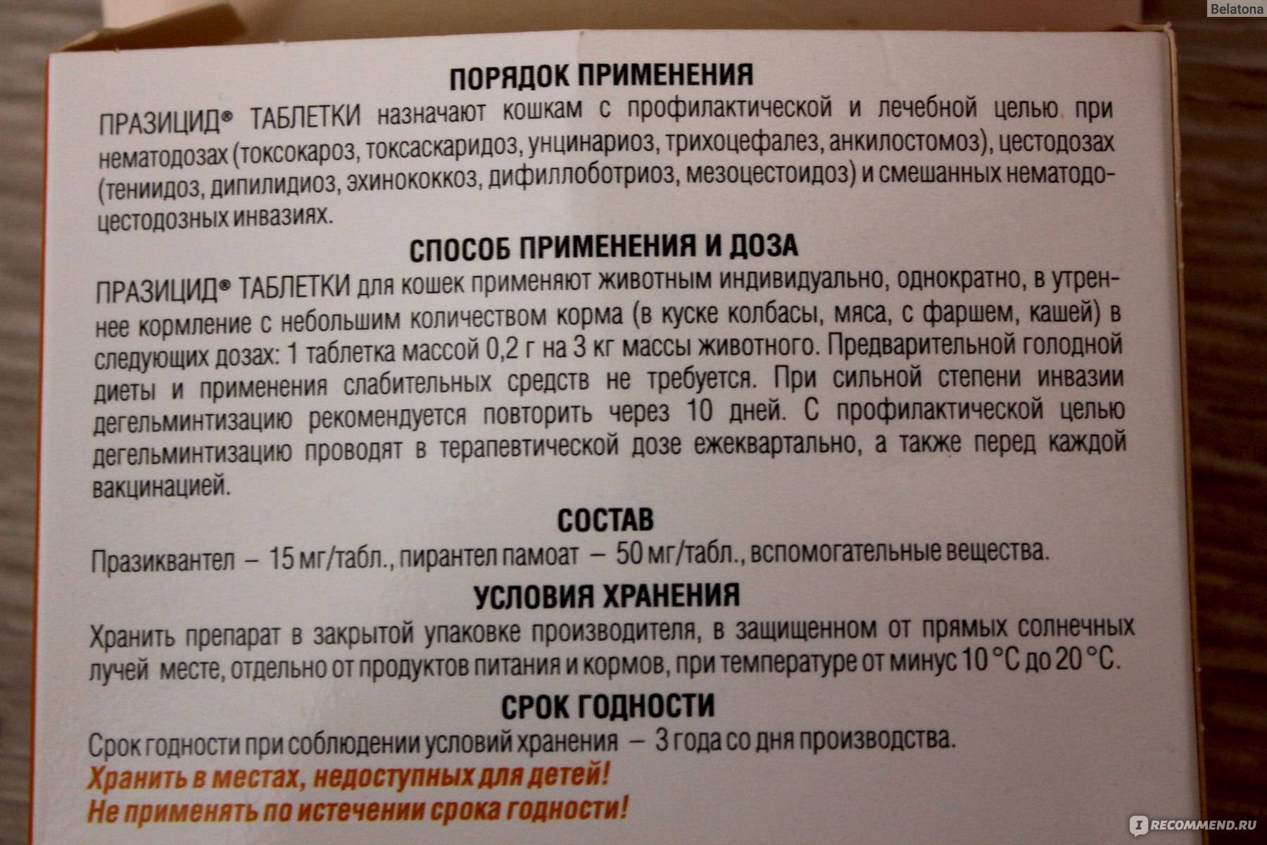 Дронтал: инструкция как избавить кошку от глистов — lapy-i-hvost.ru