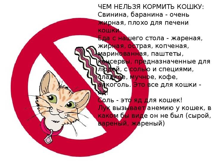 Янтарная кислота: назначение, применение и польза | food and health
