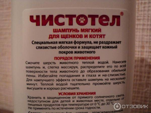 Чем мыть кошку – обзор шампуней для кошек и других средств