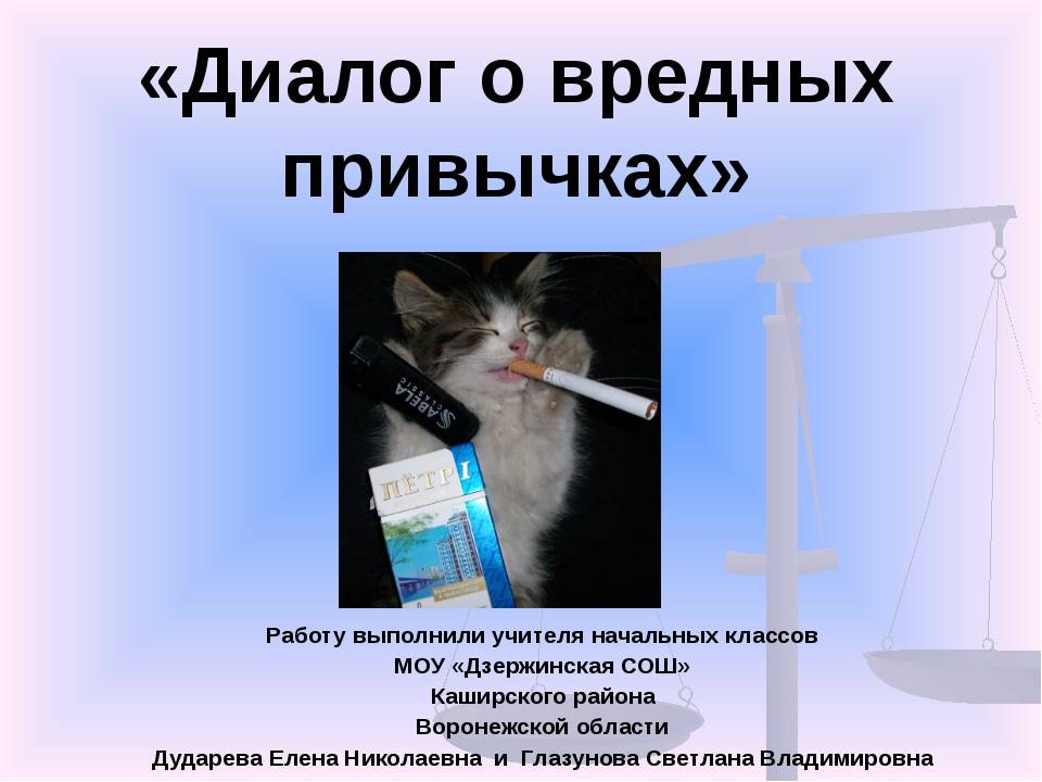 Чем опасные кошки для человека - 6 заболеваний