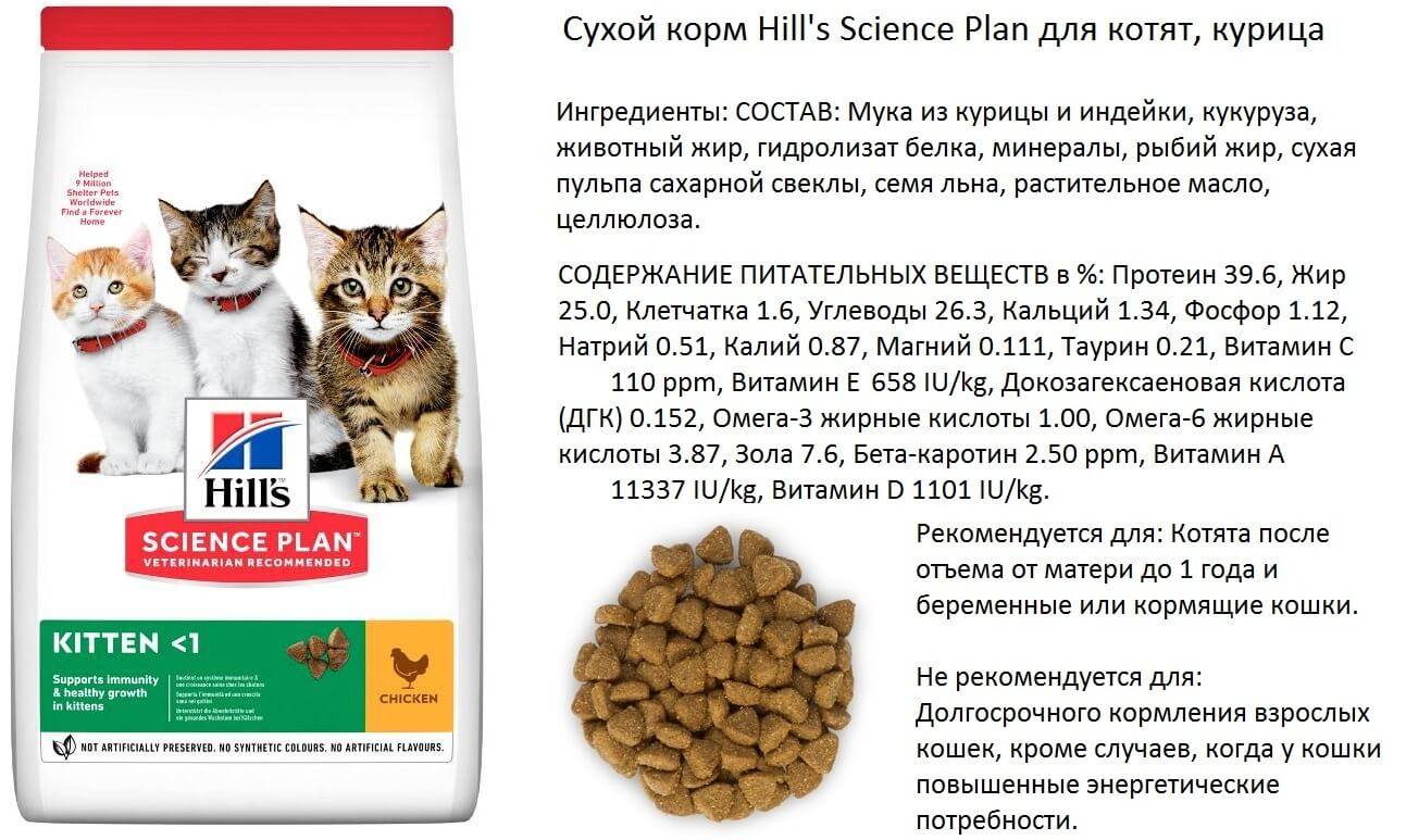 Лучшие корма холистики для кошки